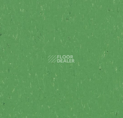 Линолеум Forbo Marmoleum Solid Piano 3647-364735 nettle green фото 1 | FLOORDEALER